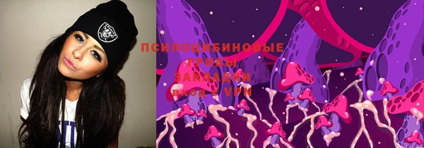 соль ск Михайловск