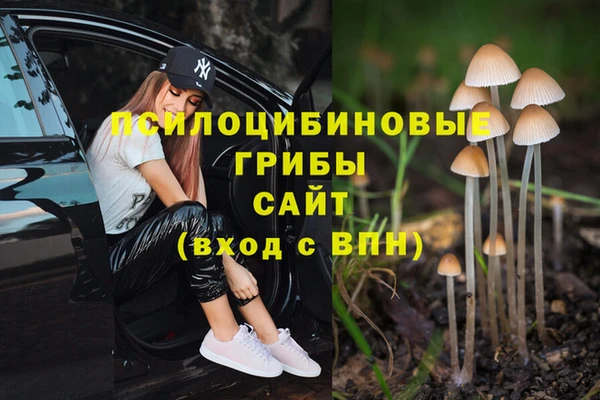 мдма Михайлов