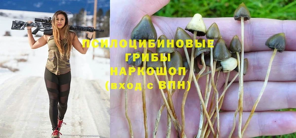 apvp Михайловка