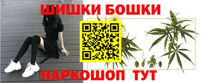 стафф Волгодонск