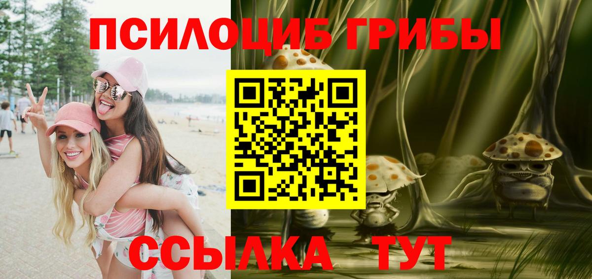 Псилоцибиновые грибы GOLDEN TEACHER Кимры